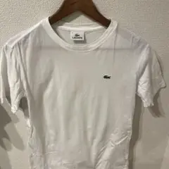 LACOSTE/ラコステ　 ホワイト Tシャツ