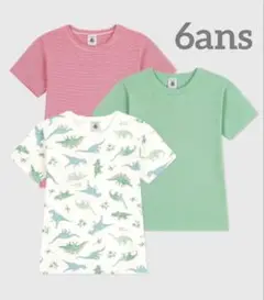 Item thumbnail for item 73d201ed-6c79-49a0-9220-33ff86079e5a