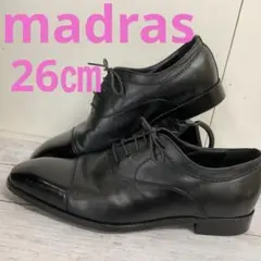 Item thumbnail for item f2d22f5f-8ab3-4667-8252-2a30ea7dae97