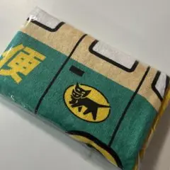 Item thumbnail for item 1296008e-1943-46c6-81f0-40c77d3cd52b