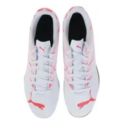 Item thumbnail for item dbe82efd-c8b0-43ab-acc6-f0b551241e43