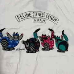 crazy shirts