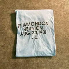 【ヴィンテージ】80’s PLAMONDON イベントTシャツ　古着　TSM8
