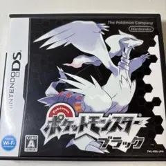 ポケットモンスター ブラック ニンテンドーDS