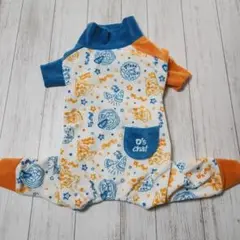 Item thumbnail for item d3d0c26f-9da9-465a-8e44-5b24c3e6a8a2