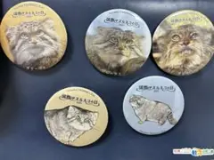 2025年　国際マヌルネコの日　缶バッジ5点セット