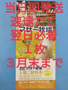 マザー牧場 入場券チケット 1まい 16:30迄の購入で普通郵便で当日即発送