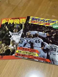 【温故知新】阪神タイガース　1985年　優勝記念盾　サンスポ 1985年阪神タイガース 優勝記念｜Yahoo!フリマ（旧PayPayフリマ）