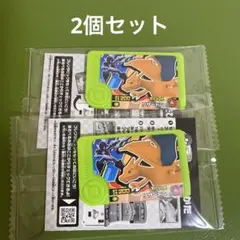 新品　ポケモンフレンダ　ベストタッグ　リザードン　ソウブレイズ　2こセット＊QH