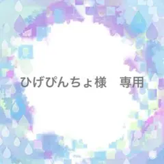 ひげぴんちょ様　専用ページ