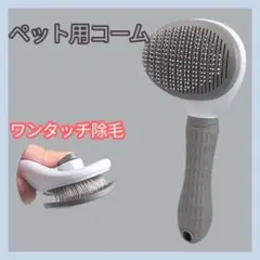 Item thumbnail for item f0f763e9-4d8f-48a6-8656-6e0dc4b187de