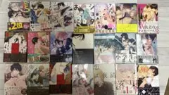 ボーイズラブ漫画セット 全21巻セット