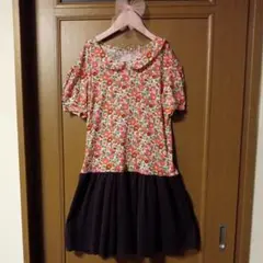 Item thumbnail for item 661c5557-444b-4c99-8eb7-ce5dc4fb1da1