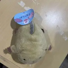 ぽちゃまる ぬいぐるみ ベージュ