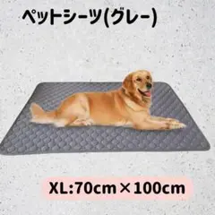 Item thumbnail for item dd049cee-021a-4aa2-a792-af5ee2114dad