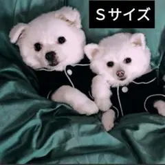 犬服 ペット服 ネコ服 ドッグウェア 黒色 Sサイズ ルームウェア
