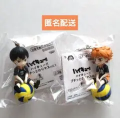 ハイキュー 　プチっとのりマス　vol.1　日向翔陽＆影山飛雄セット【匿名配送】
