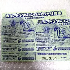 東武動物公園 アトラクションパス 2枚 (メルカリ便発送) 紙チケット