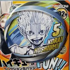 ハイキュー ファンパーク コレクション缶バッジ 星海光来