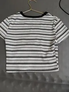 ストライプ クロップド Tシャツ 半袖