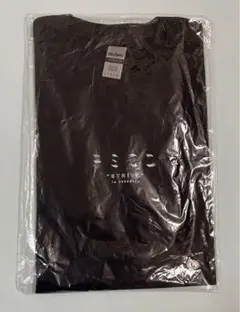☆新品未開封☆ PassCode パスコード　Tシャツ　Lサイズ　①