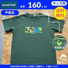 【 モンベル 】（160cm）中美品：Tシャツ グリーン