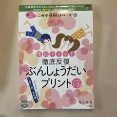 徹底反復ぶんしょうだいプリント　※6ページ分記入有