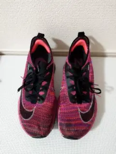 Item thumbnail for item 7c995469-98bf-481f-bb21-679a0d51b758