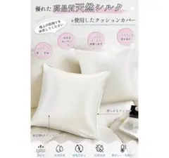Item thumbnail for item 71a256fb-507d-4bd9-b336-d187f14c2308
