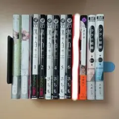 BL 漫画 11冊