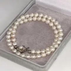 Item thumbnail for item f2c0b65c-4fb6-4970-af29-337cc791e9b8