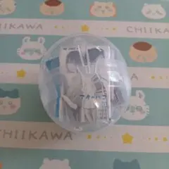 ジャンプコミックスコレクション　アオのハコ