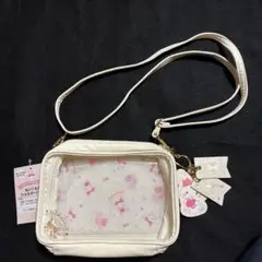 Item thumbnail for item 80e4b06f-0c1a-4c87-9c1a-bd45b0d00b6e