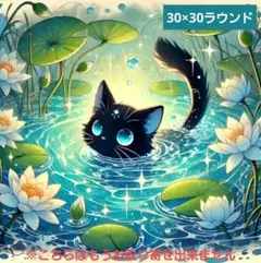No 5922　ダイヤモンドアートキット　未使用品