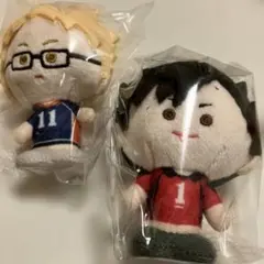 キノコス　ハイキュー