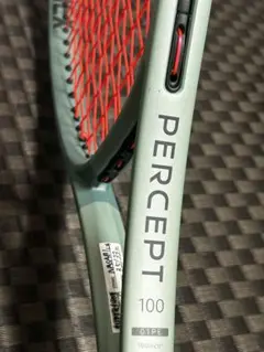 PERCEPT 100 重量: 300g グリップサイズ: G2