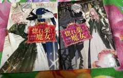 どうも、好きな人に惚れ薬を依頼された魔女です。1・2巻セット