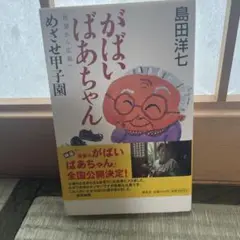 がばいばあちゃん佐賀から広島へめざせ甲子園