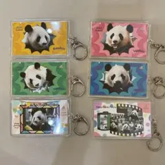 アドベンチャーワールド パンダ ８月限定キーホルダー　コンプリート