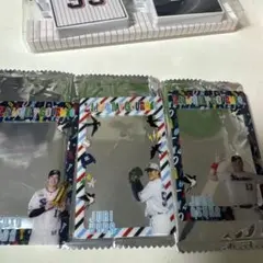 東京ヤクルトスワローズ　レディースデー　グルメカード