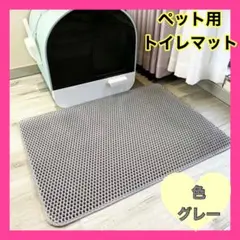 Item thumbnail for item e9676d93-ac73-4510-8634-9a3ed2a20d2e