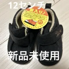Item thumbnail for item 1683228d-5acd-4bfb-a7b6-4cd1d9f1036f