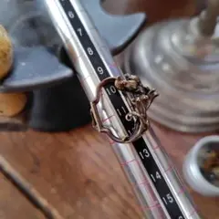 Lano　額縁と植物のモチーフのリング　サイズ 11