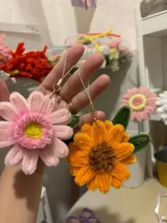 モールフラワー