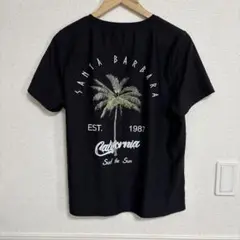 SANTA BARBARA　サンタバーバラ　半袖　Tシャツ　カリフォルニア　M