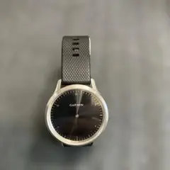 GARMIN VIVOMOVE HR