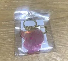 ポケットモンスター namcキャンペーン 2連キーホルダー賞 イーブイ　非売品