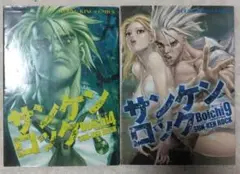 サンケンロック Boichi4 & 9 セット