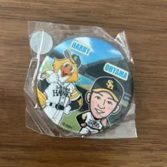 ソフトバンクホークス 大山亮選手 バッジ