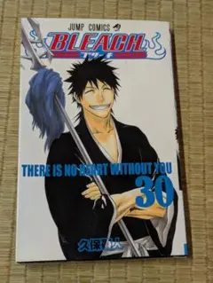 No.262【6:3-5】Bleach 30